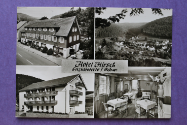 Ansichtskarte AK Enzklösterle 1940-1960 Hotel Hirsch